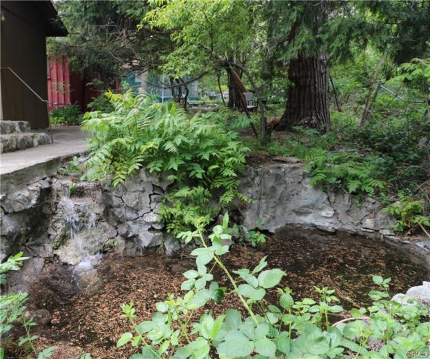 13992 Irving Ln, Lytle Creek, CA